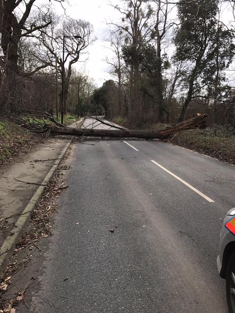 MPSEnfield's tweet image. A tree has fallen across Whitewebbs Road. Please drive carefully, we are getting multiple reports of fallen trees #MightyC&apos;s #SpecialBranch