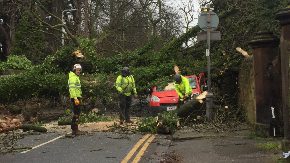 PaulOHareDesign's tweet photo. Tree comes down in my road..,
Nobody hurt https://t.co/R2TWUWUmTX