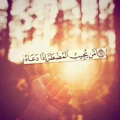 aaab482 tweet picture