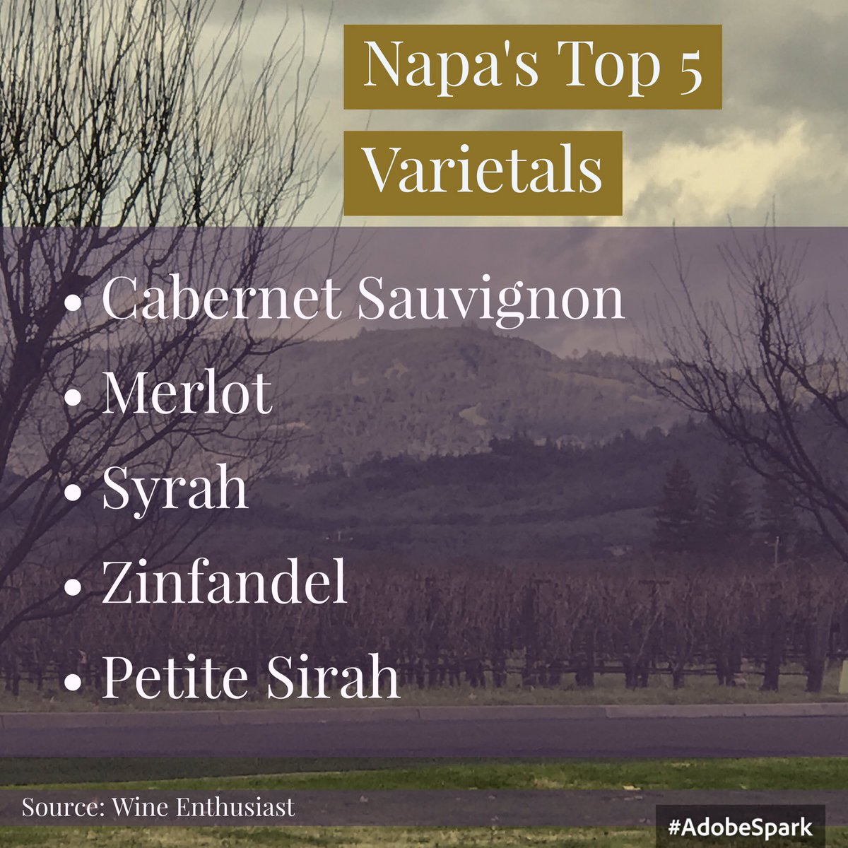 #Wine #NapaValley winemag.com/2015/11/24/nap…