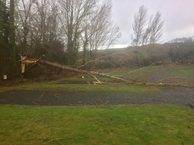 Storm Doris has had hew wicked way with a couple of trees!! #stormdoris  #Conwy