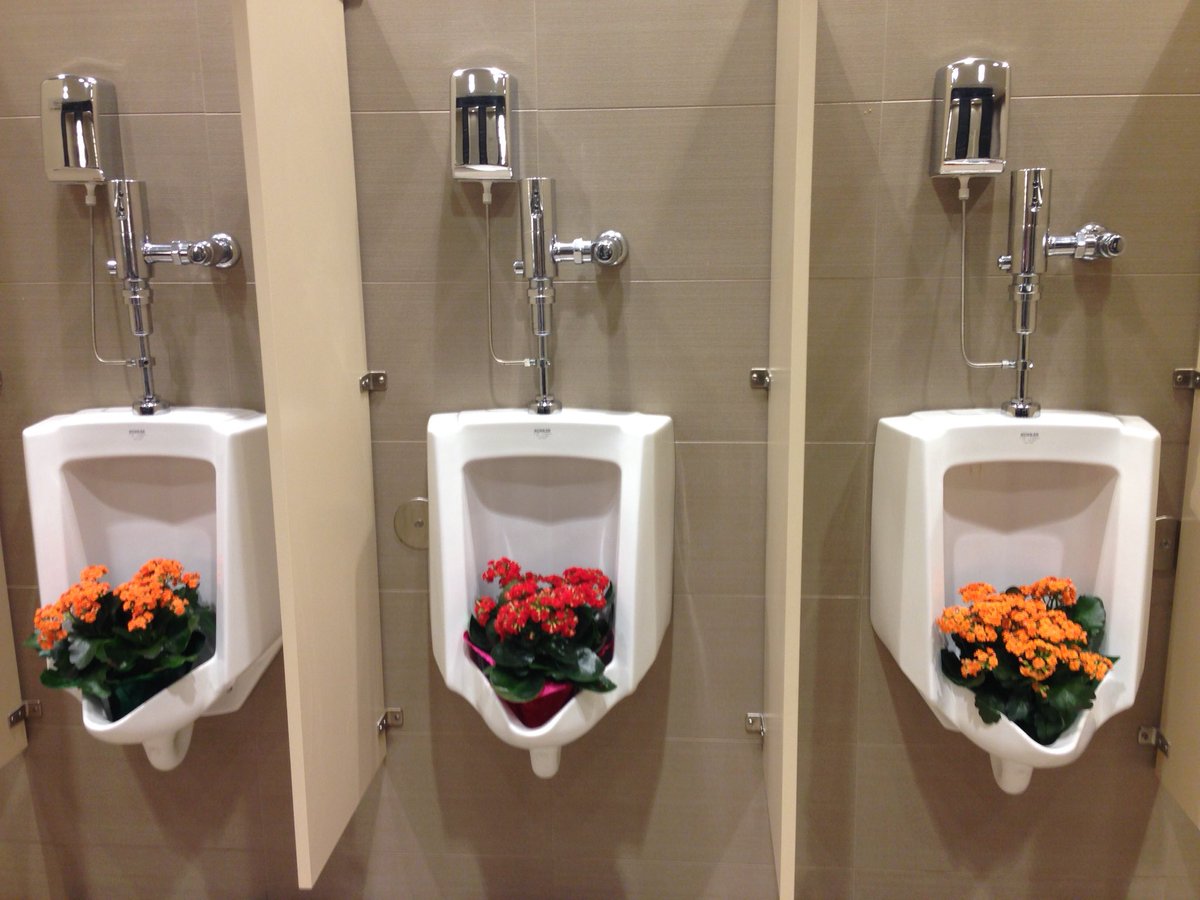 How to transform a men's room into a women's washroom. #urinalflowerpots are my favourite. #takethatDuchampandKoons