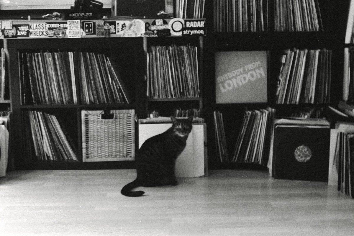 _distantcousins's tweet image. TONIGHT at @Corsica_Studios 🐈

FYI Chris &amp;amp; Ben Hauke play our last party of the month! Free list over at distantcousins.club