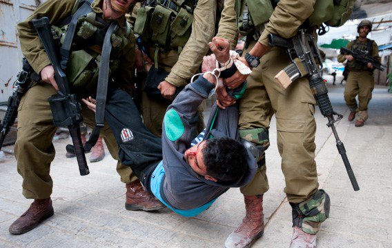 Comunidad Palestina de Chile tweet media