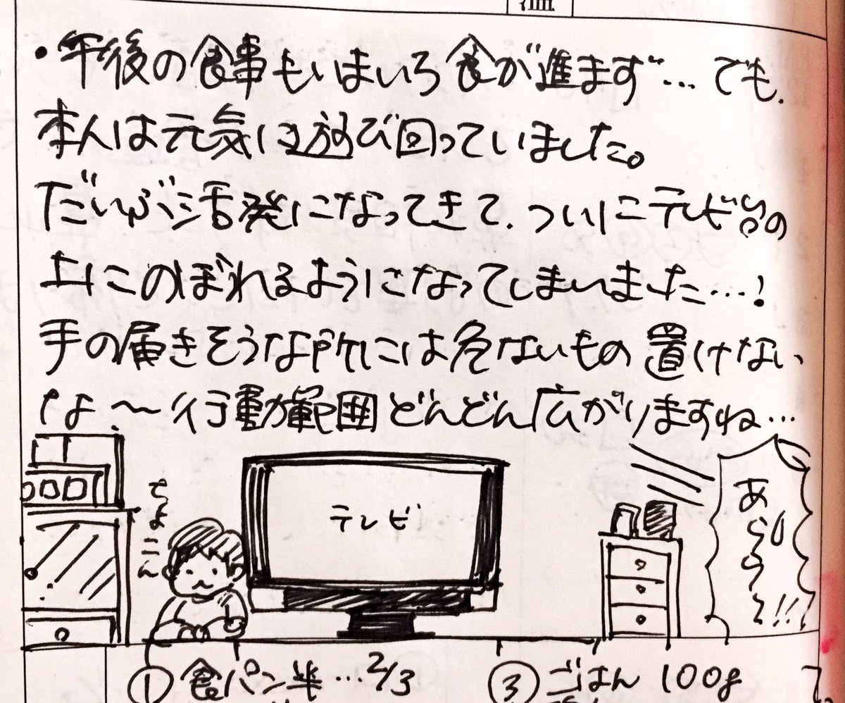 久々に…1月〜2月の連絡帳のイラスト付きページの一部をちらり☺
#我が子の連絡帳 #育児絵日記 #育児漫画 