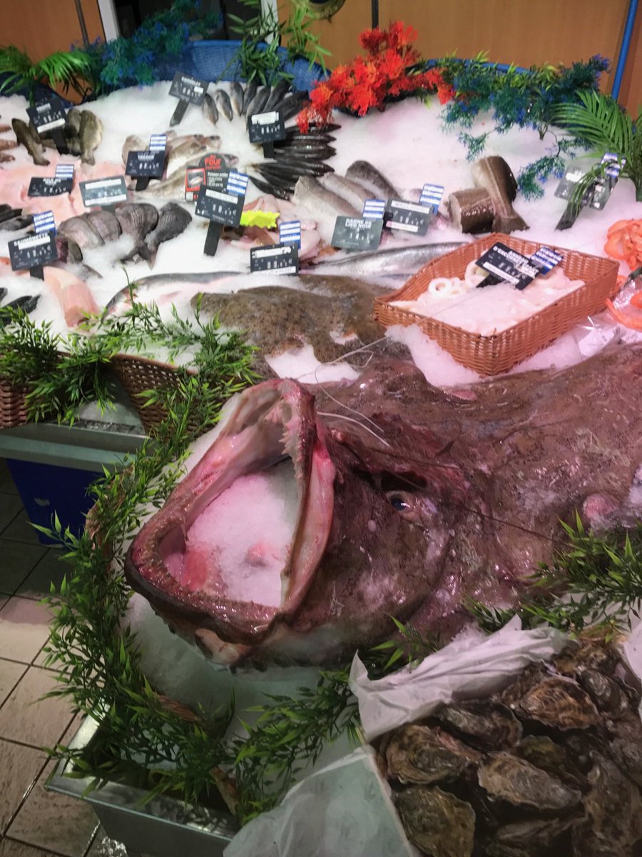 promerocean's tweet photo. Présentation d'une baudroie de 26 Kg, Douarnenez mis à l'honneur sur un rayon marée parisien ✌️
#PromerOcean #Bretagne https://t.co/Onh1oUQrCs