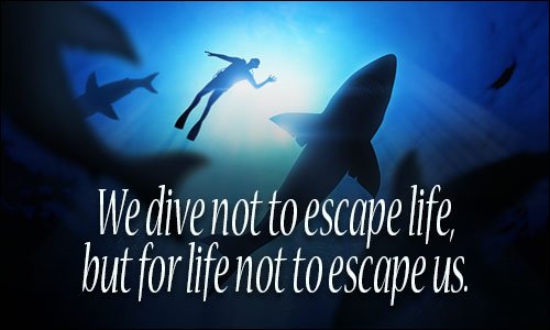 #wickeddiving #similanliveaboard #diving #scuba #whydive #diveinspiration #diveexploreres #adventureisoutthere #scubadiving #OceanDiscovery