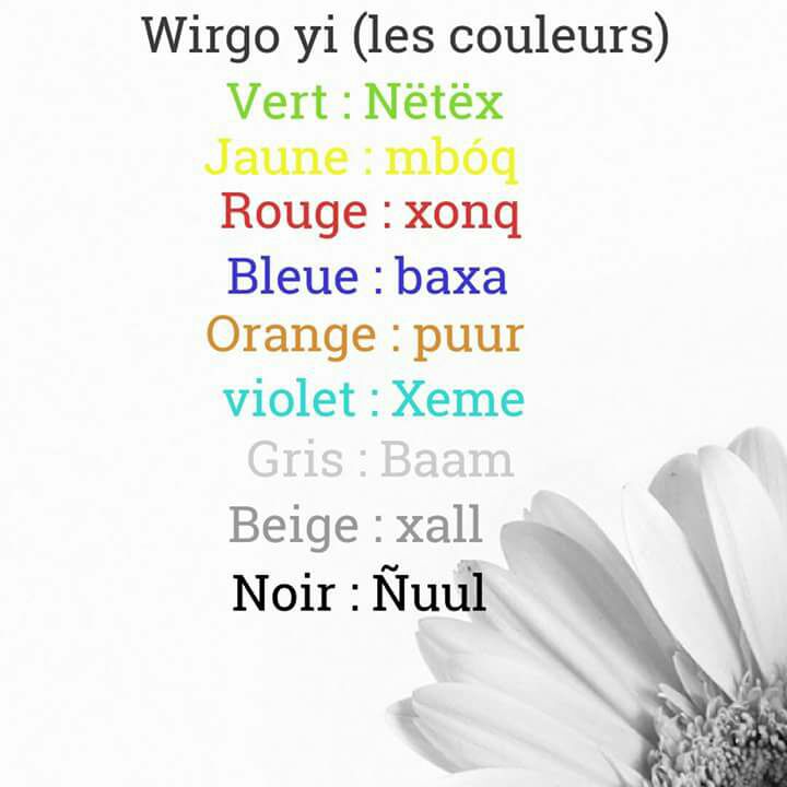 gunmanxuman's tweet photo. Les couleurs en Ouolof https://t.co/t5GANIhYUz