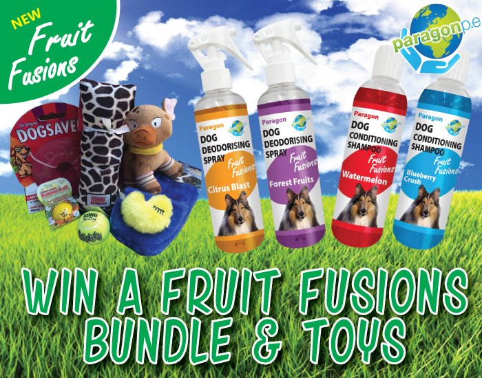 paragon pet products