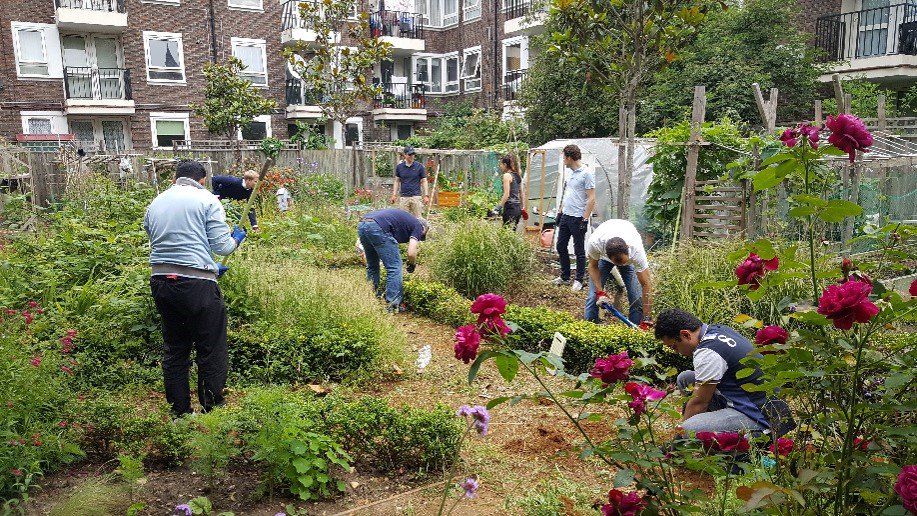 greenprogramme's tweet image. Garden Lead Volunteer role now being advertised on our website bit.ly/2lODX2d. Great opportunity to work with the Green Hub.