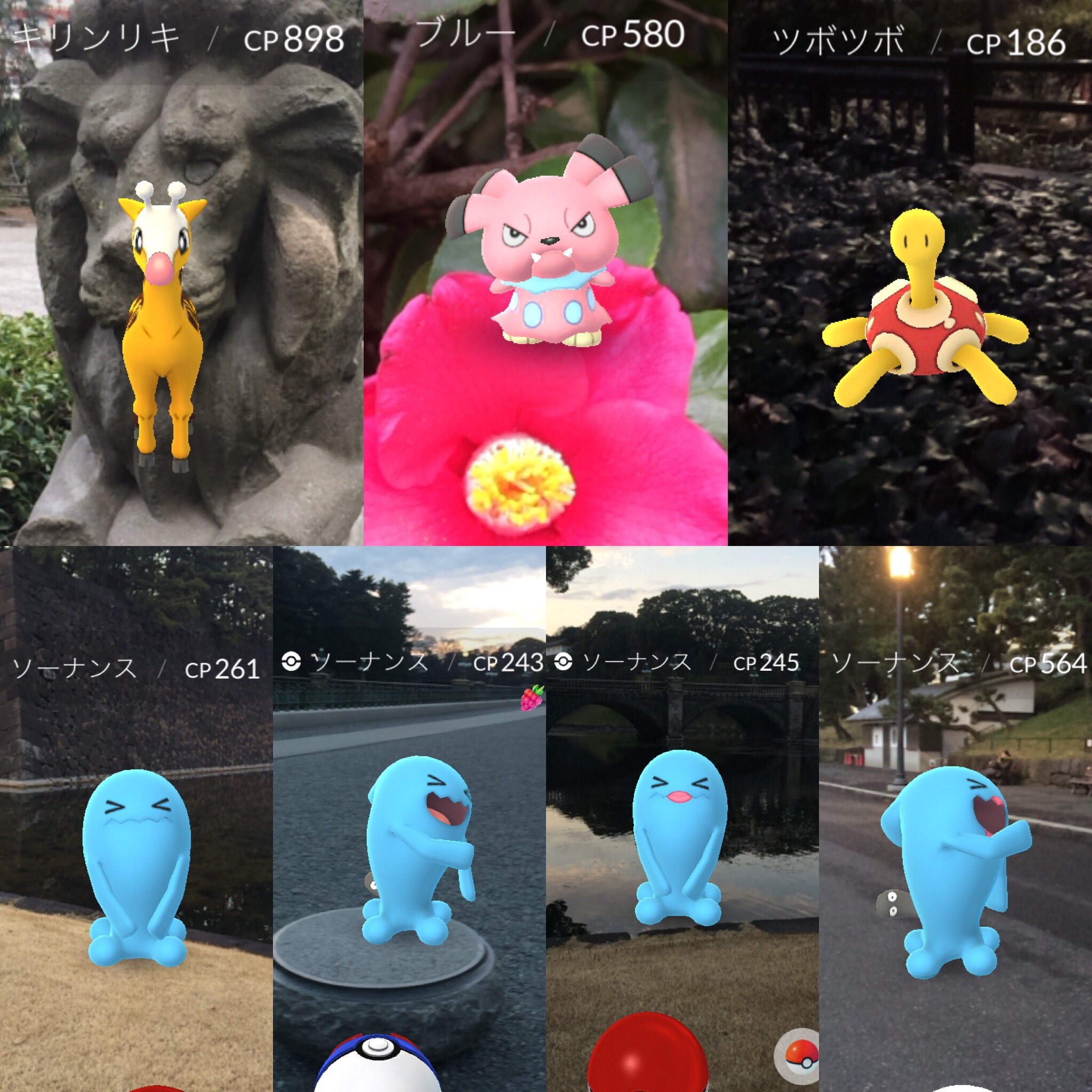 Twitter এ Meg Pokemongo ポケットモンスター 金 銀 ジョウト地方のポケモン7日目 新入りは4種類 キリンリキ ブルー ツボツボ ソーナンス ソーナンスのメスは口紅つけてる ベビィポケモンと合わせて62 70 たいようのいし もまた一つ手に入った Twitter এ Meg Pokemongo ポケットモンスター 金 銀 ジョウト地方のポケモン7日目 新入りは4種類 キリンリキ ブルー ツボツボ ソーナンス ソーナンスのメスは口紅つけてる ベビィポケモンと合わせて62 70 たいようのいし もまた一つ手に入った