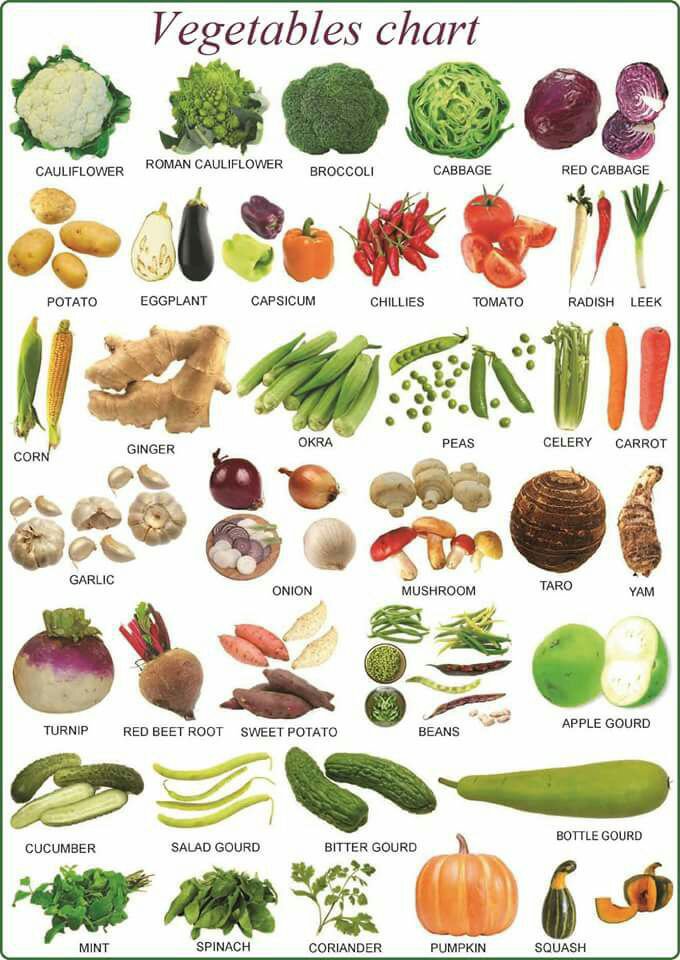 37a98c6faa4 أسماء الخضروا بالانجليزية بالصور Vegetables In English