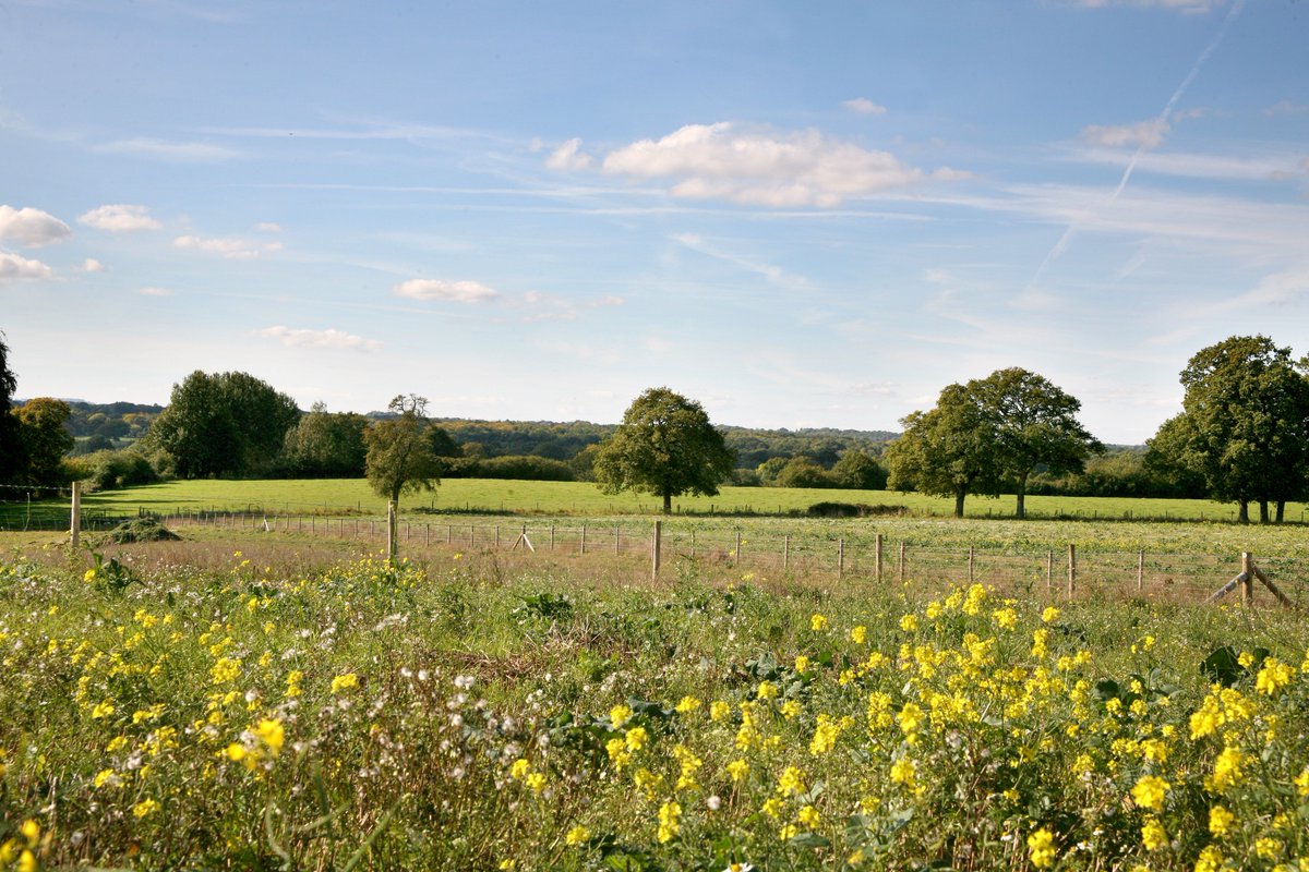 KFBasingstoke's tweet image. Our handle is changing. Please follow @KF_Hampshire for the latest properties, research &amp;amp; updates from #Hampshire