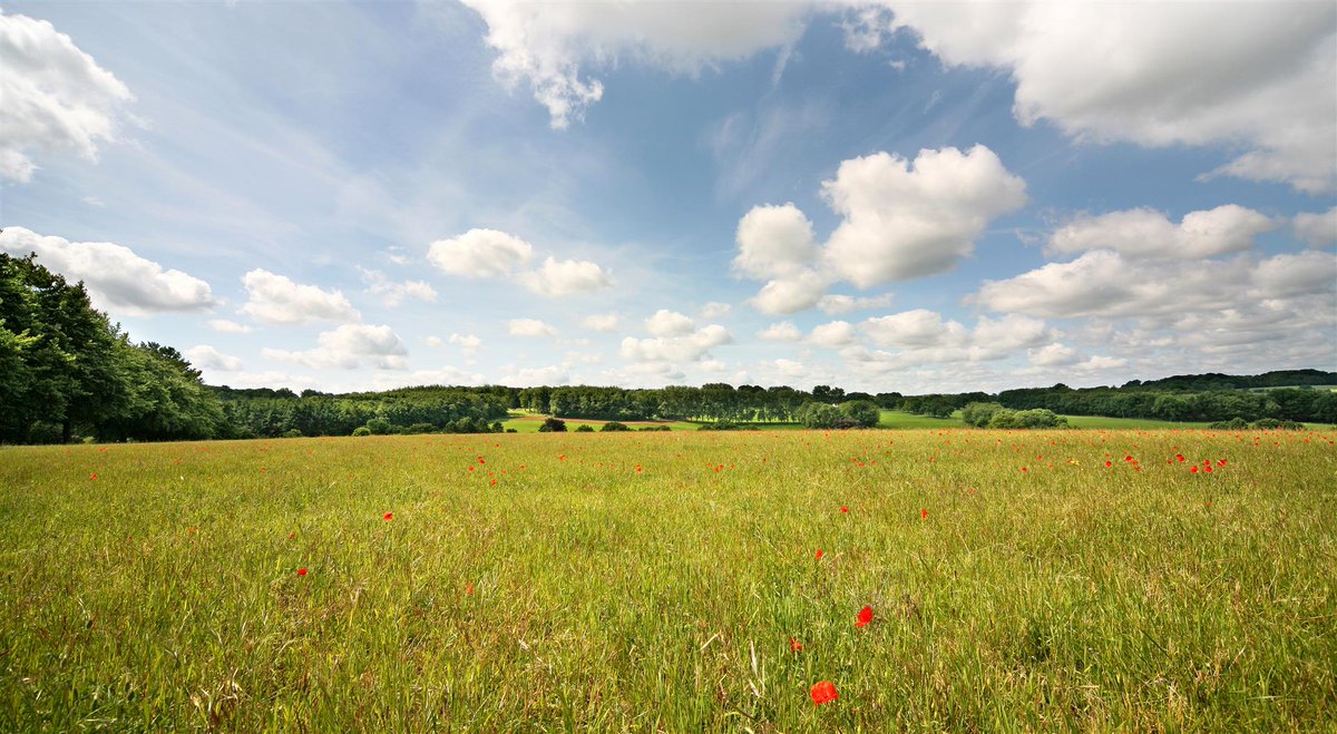 KFBasingstoke's tweet image. Our handle is changing. Please follow @KF_Hampshire for the latest properties, research &amp;amp; updates from #Hampshire