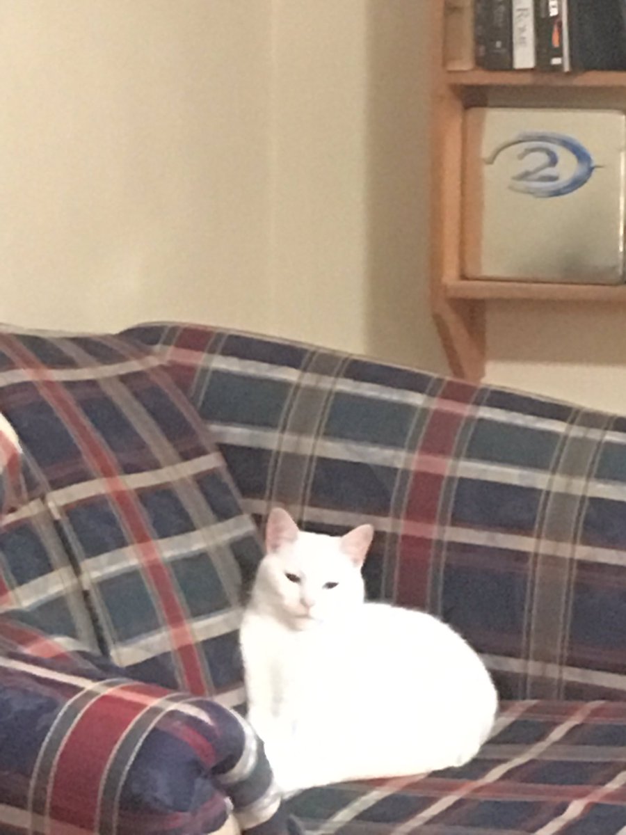 gray_fletch's tweet image. 