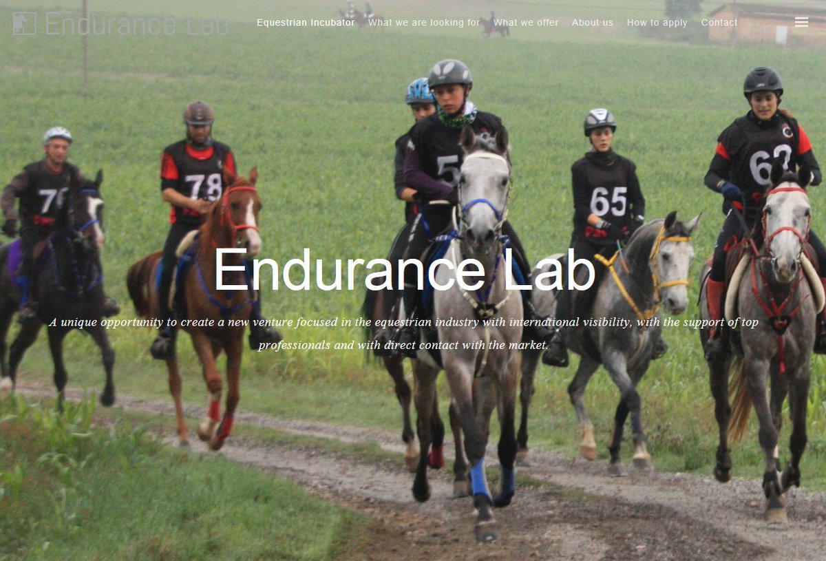 Want to be a TechnoEquine entrepreneur? 1st Equestrian Incubator in the world <a href="/endurance_lab/">EnduranceLab</a> <a href="/annamaresma/">anna maresma</a> @incubio bit.ly/2lP0rjL