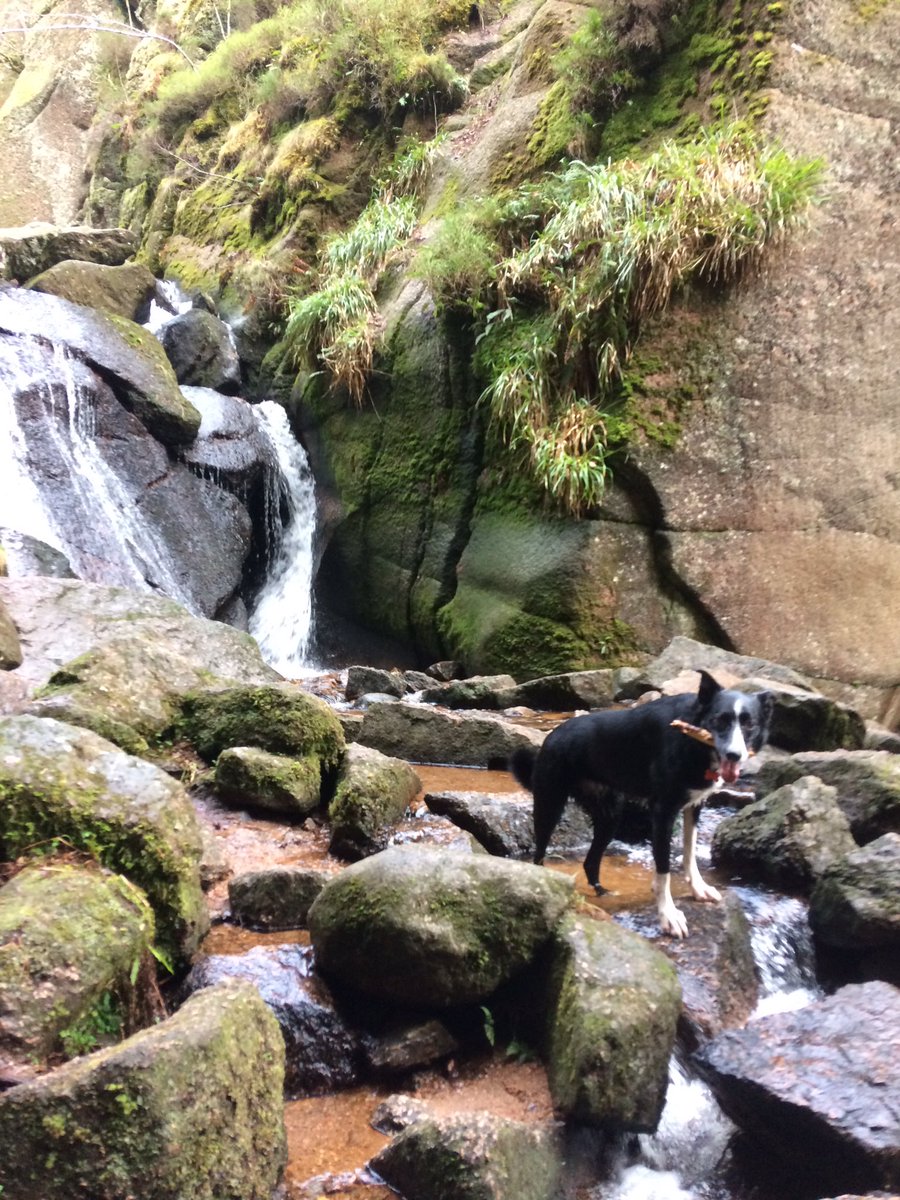 Stars_Mam's tweet photo. @viewranger #walk2016 Added an extra 26.5 miles this week whilst enjoying a super holiday in @VisitScotland https://t.co/C6ZccXtCOx