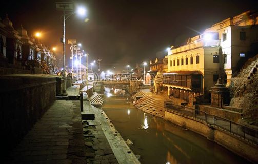 Elite Joshi tweet media