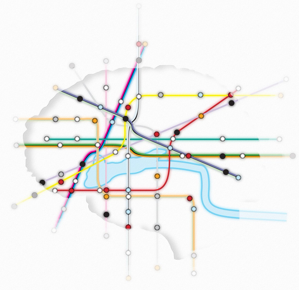 human brain mapping template
