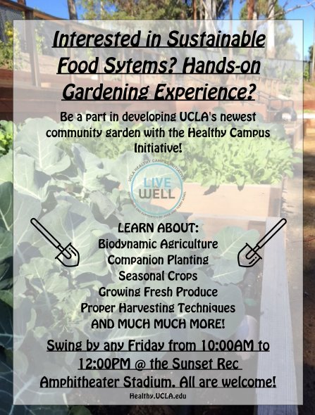 UCLAAsheCenter's tweet photo. Be part of developing #UCLA 's newest #communitygarden with @HealthyUCLA at #SunsetRec, Fridays 10am-12pm. 🥒🌽🍅🥗🥑 @TrustYourHunger https://t.co/QusHbdU5OC