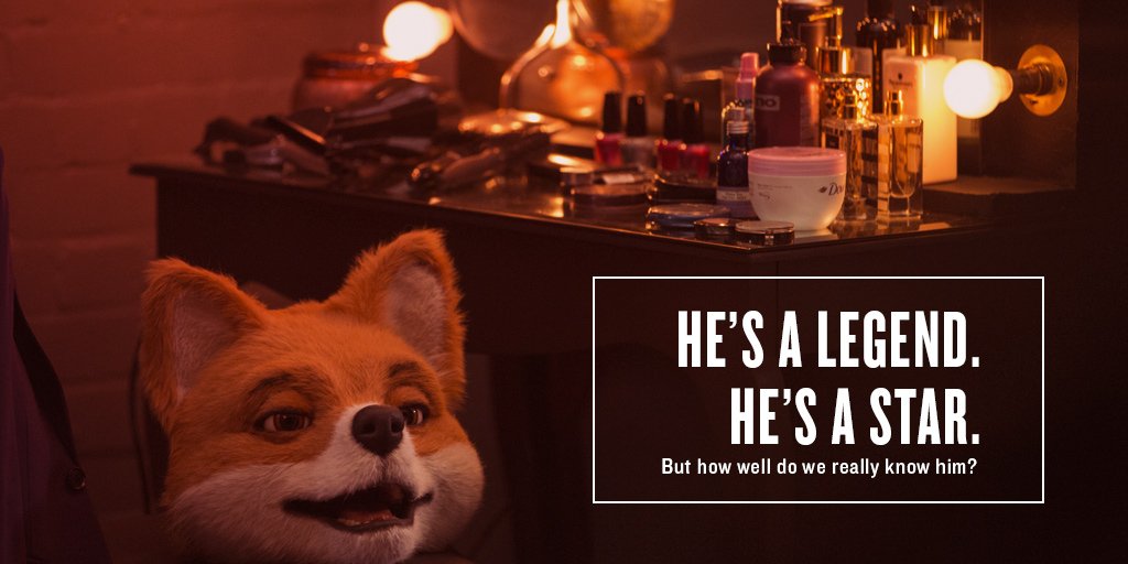 foxybingo's tweet image. Forget The Stig, how well do you know the real Foxy? #WhatTheFox