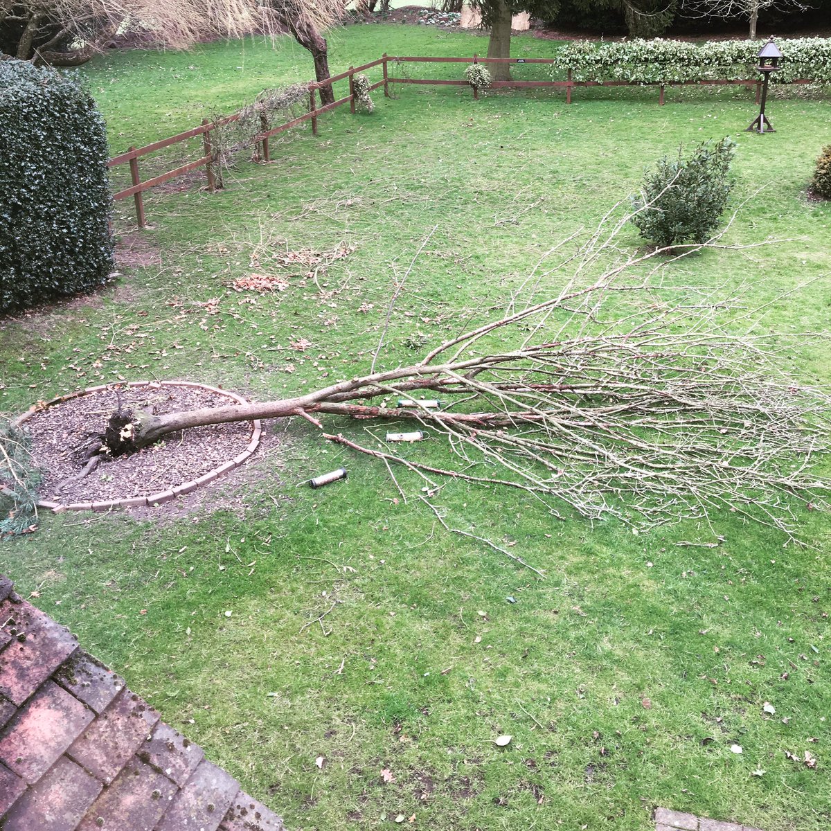 Thanks a lot Doris 😢
#dorisday