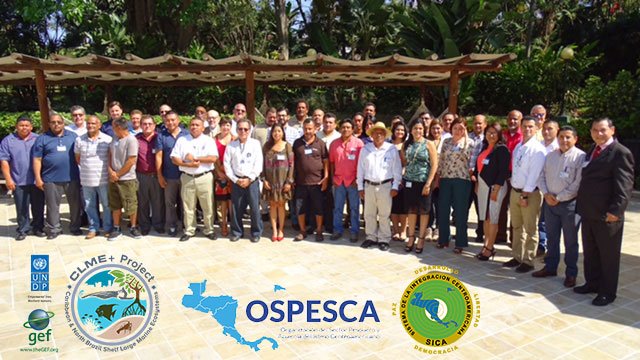 CLMEplus's tweet image. 46 #OSPESCA participants at @UNDP/@theGEF #CLMEproject workshop on sustainable spiny #lobster fisheries incl. #Caribbean gvts &amp;amp; #fishers.