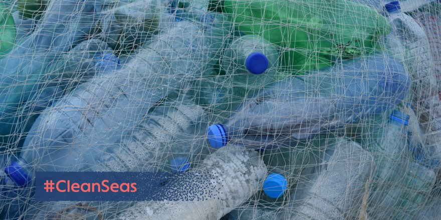 ONU_fr's tweet photo. .@UNEPfr lance une campagne mondiale pour des #OceansPropres https://t.co/f5eAoTHvPM https://t.co/cEntqZeQDu