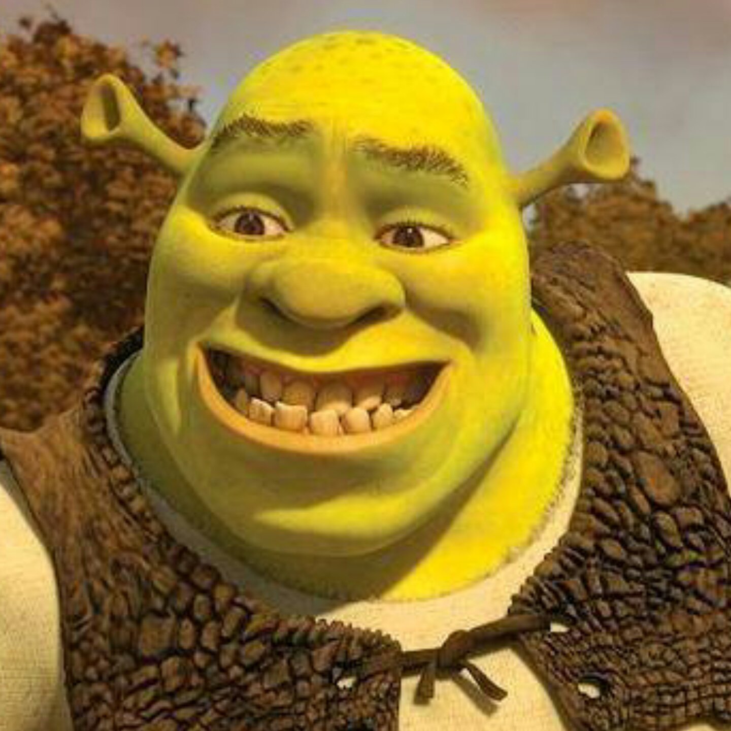 Shrek. 