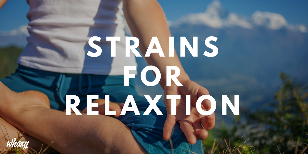 ThinkTankExile's tweet photo. What Are Your Go-To #Cannabis Strains for Pain Relief? Did They Make the List? https://t.co/hm5qulwU4F https://t.co/1oPMucpGti