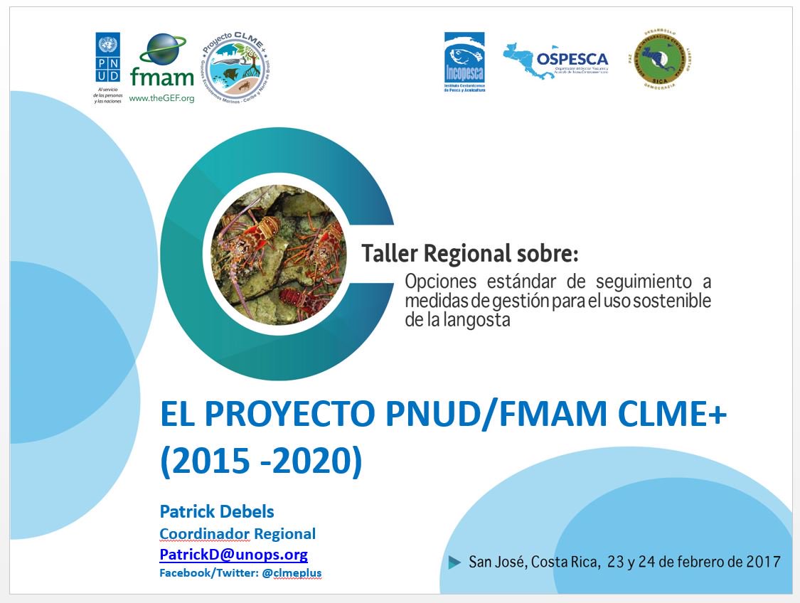 CLMEplus's tweet image. G. Meneses, Pdt ej. Incopesca presenting on #UNFAO Voluntary Guidelines for Small-Scale #Fisheries at  #CLMEproject spiny #lobster workshop