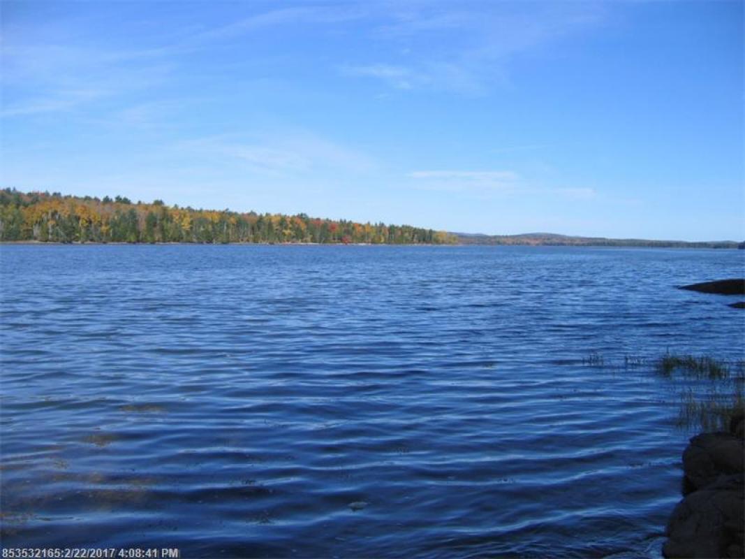 Peter Drinkwater (pete349) Twitter