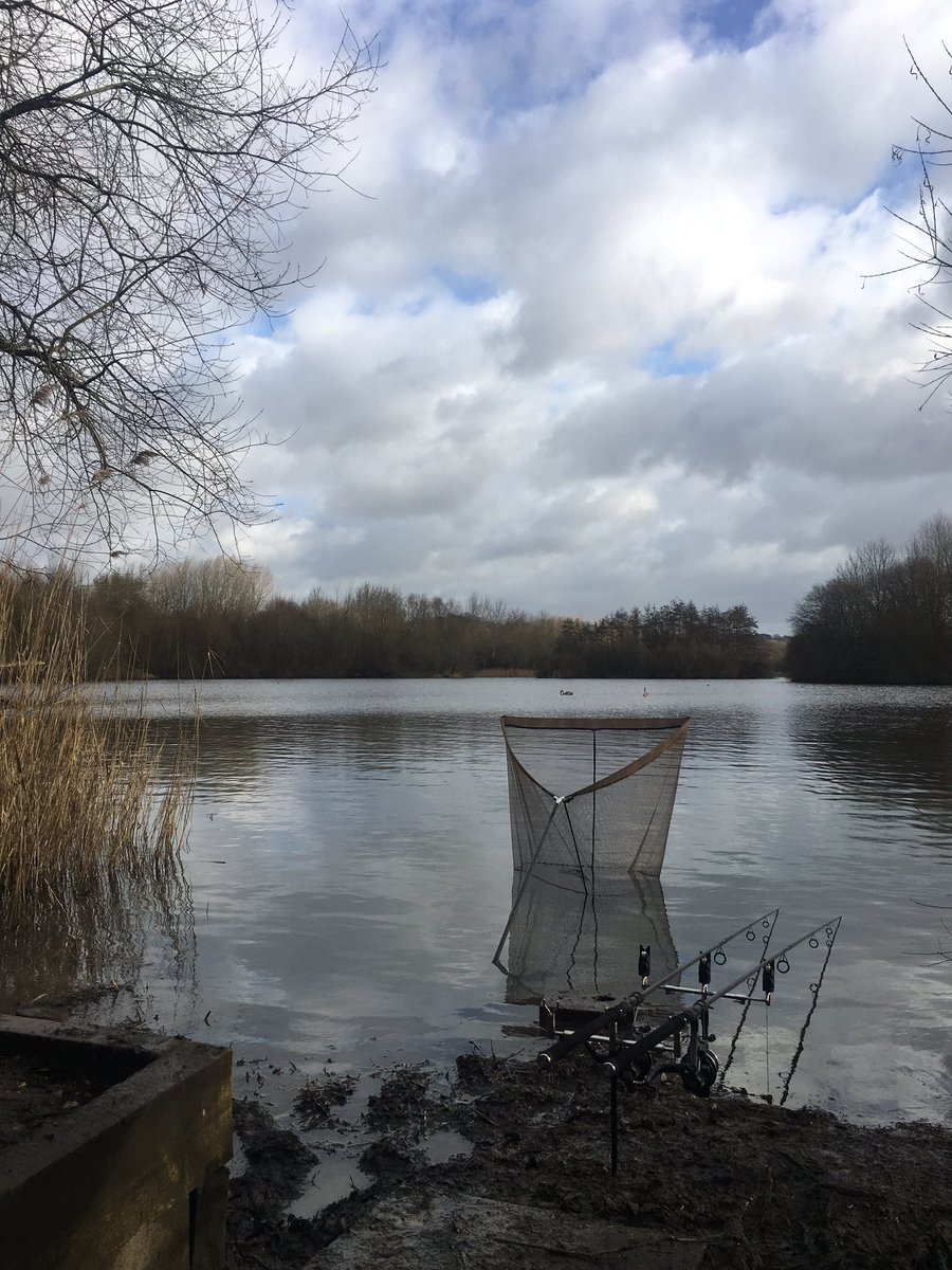Sooo, unexpectedly ended up seeing Terry Hearn with Wasing's Parrot today. Not every day you can say that...