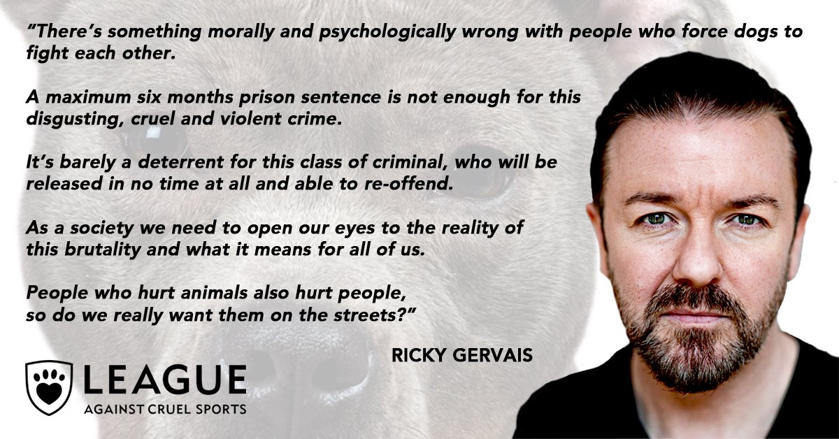 LeagueACS's tweet photo. 'OPEN YOUR EYES' @rickygervais erupts with FURY at soft sentences for dog fighters https://t.co/oAEe9pJwE5 #animaljustice https://t.co/EoSjPG31hP