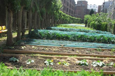 phenixfr's tweet photo. En #Belgique, le #maraîchage urbain pour s’insérer dans l’#économiecirculaire
https://t.co/eyMNouIHWT
#agricultureurbaine #GrootEiland https://t.co/1RozZCf6CL