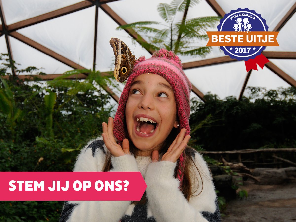 Diergaarde Blijdorp tweet media