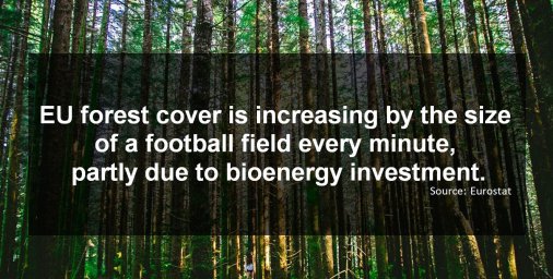 Creating a market for #biomass can incentivise good forestry practice.