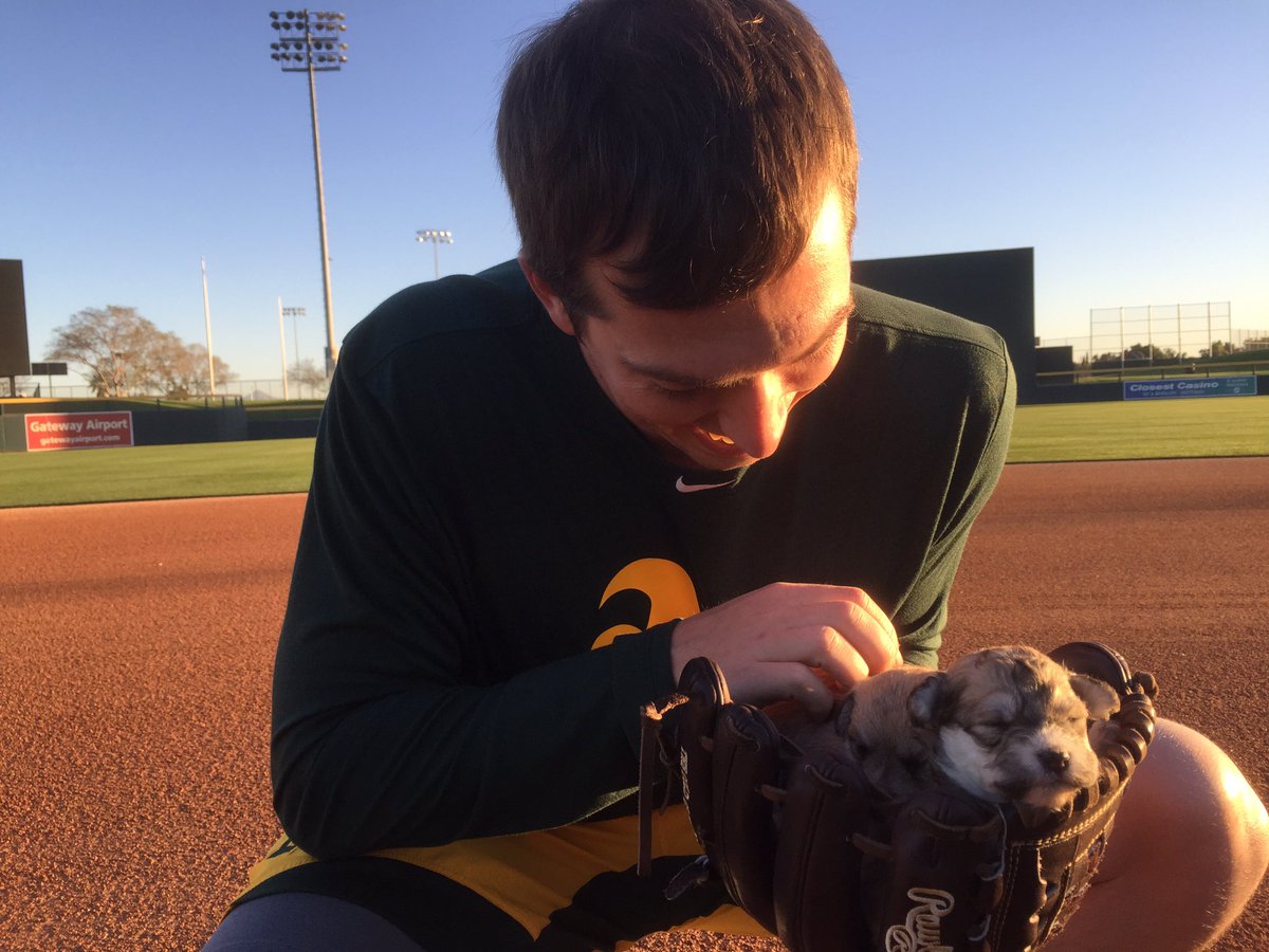 #HellaSpring pupdate: @dullsnacks11's glove makes for a pawesome nap. https://t.co/SLgJddms72