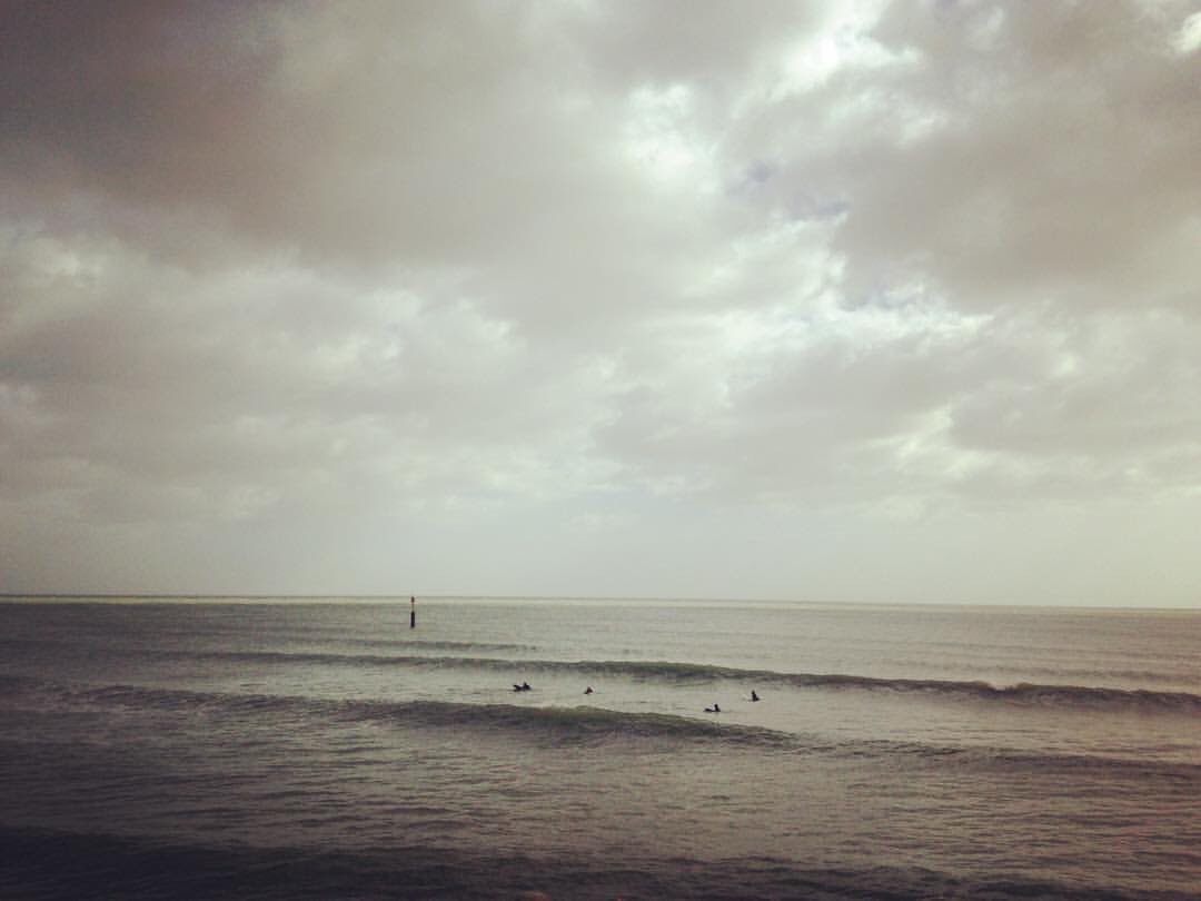 Poppy Lee tweet media