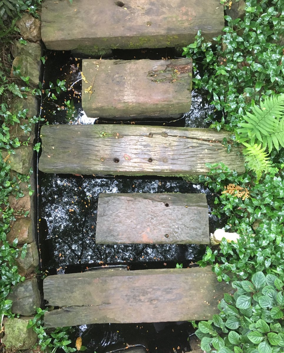 PBPsychologist's tweet photo. Amazing Restorative Yoga Retreat https://t.co/S6N1Zl8Yal