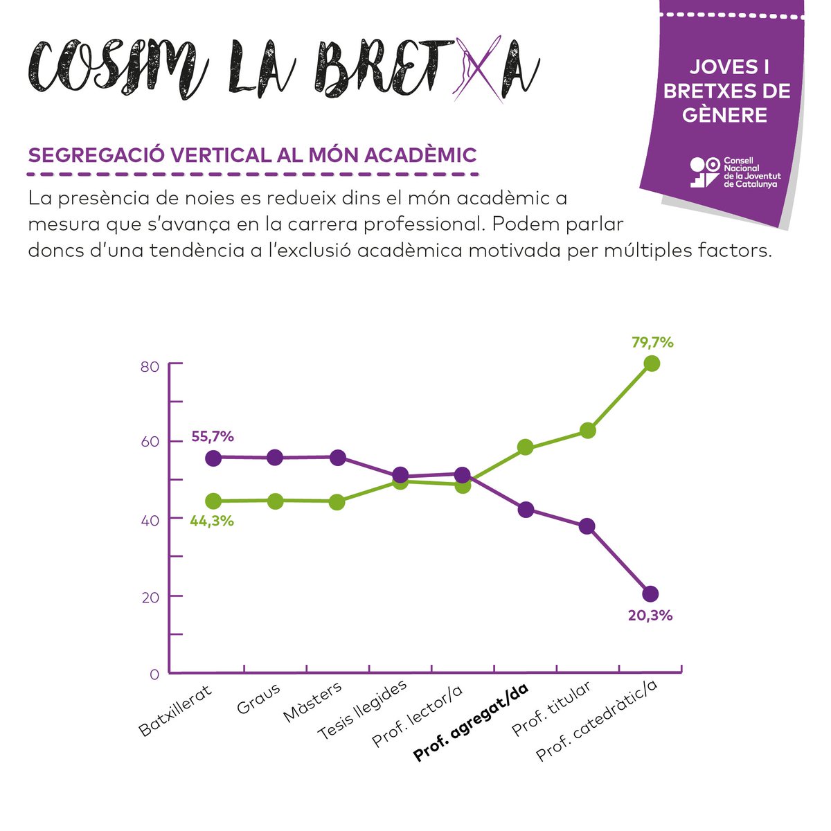 Consell Nacional de la Joventut de Catalunya tweet media