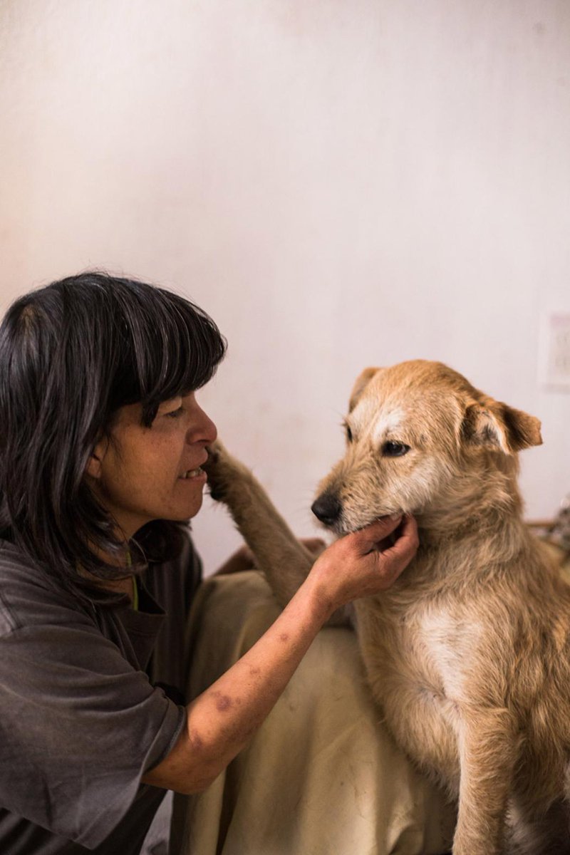 bestiecilla's tweet photo. Los superhéroes sí existen: ella se llama Luisa y da hogar a 70 perros que han sufrido maltrato -- https://t.co/yycCR6WJt9 https://t.co/uKRs2R5iZf