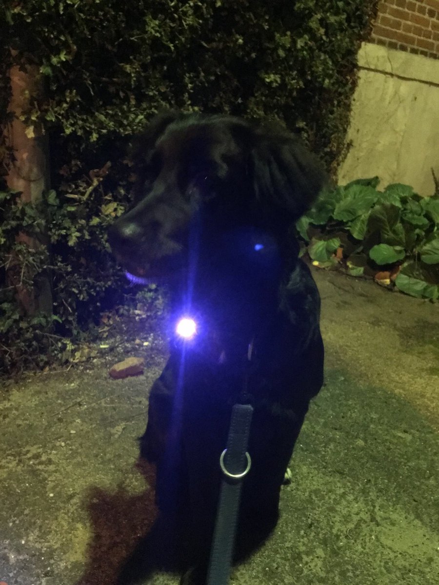 Flashes attracts the eye quicker, so you will be noticed faster.
With a constant light, it is easier for drivers to judge your position.