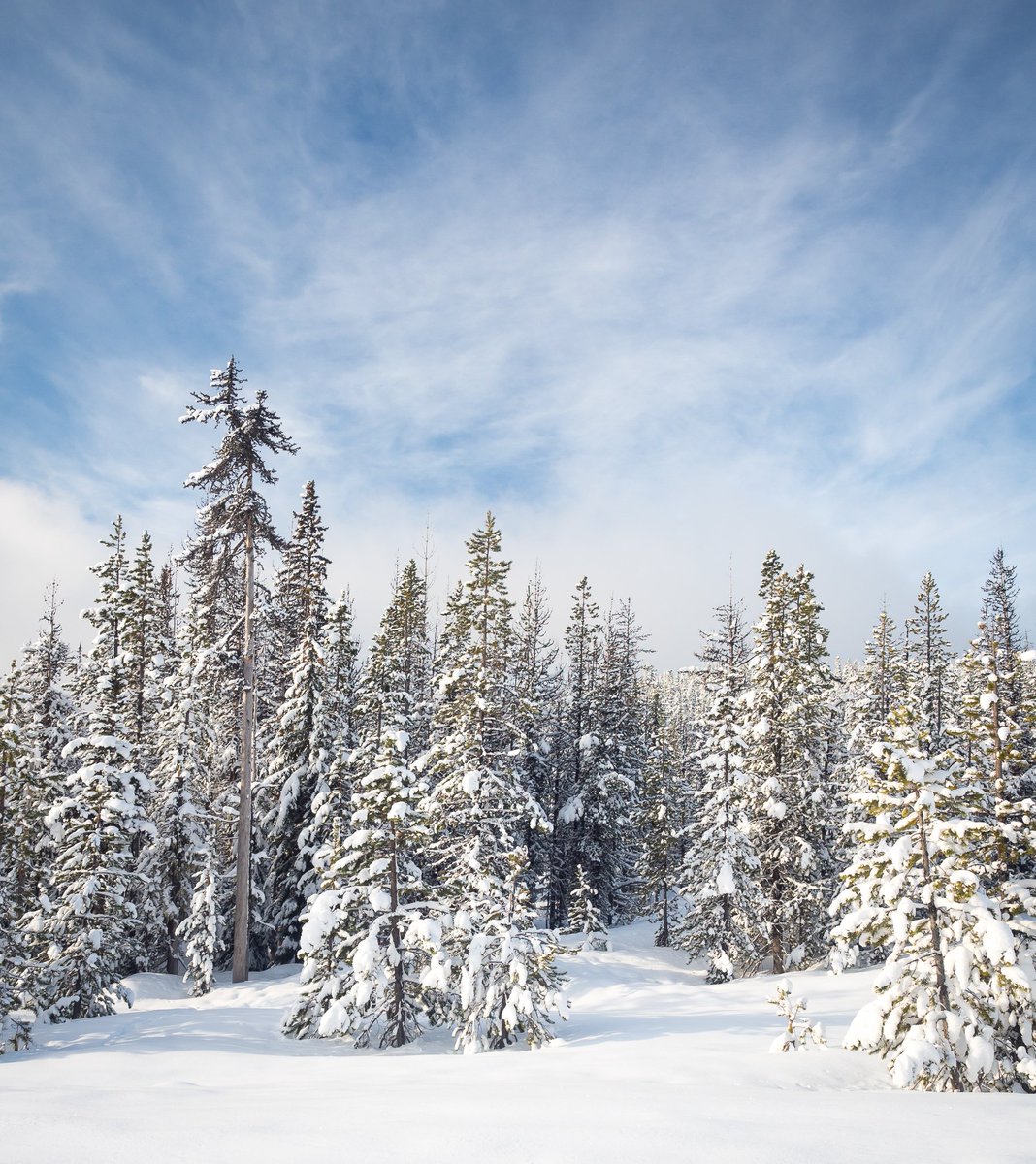 joeturic's tweet photo. Beautiful, fresh snow up on Mount Hood yesterday, glad I had my @getolympus #omd E-M5 Mk2 with me! #mirrorless #oregon https://t.co/gKGpWHH2J5