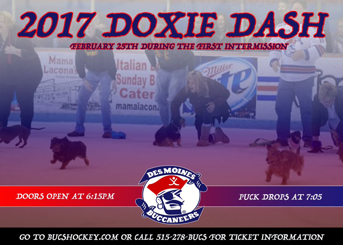 bucshockey's tweet photo. Tomorrow night is the 7th Annual @bucshockey @ARLIowa Doxie Dash, for tix to see the game vs @BLMThunder call 278-2827 #BLMvsDM https://t.co/eZeJ7NFzHC