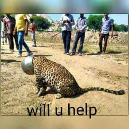 Amokanga's tweet photo. What will u do if u happen to be there? https://t.co/mRU4zKOSoY