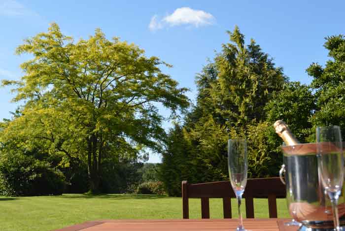 GrangeCH's tweet photo. Special occasion? Treat yourself to afternoon tea/champagne tea from £12.50 pp Reservations 01404 758010. Advance bookings only. https://t.co/Dz2xV2QLBJ