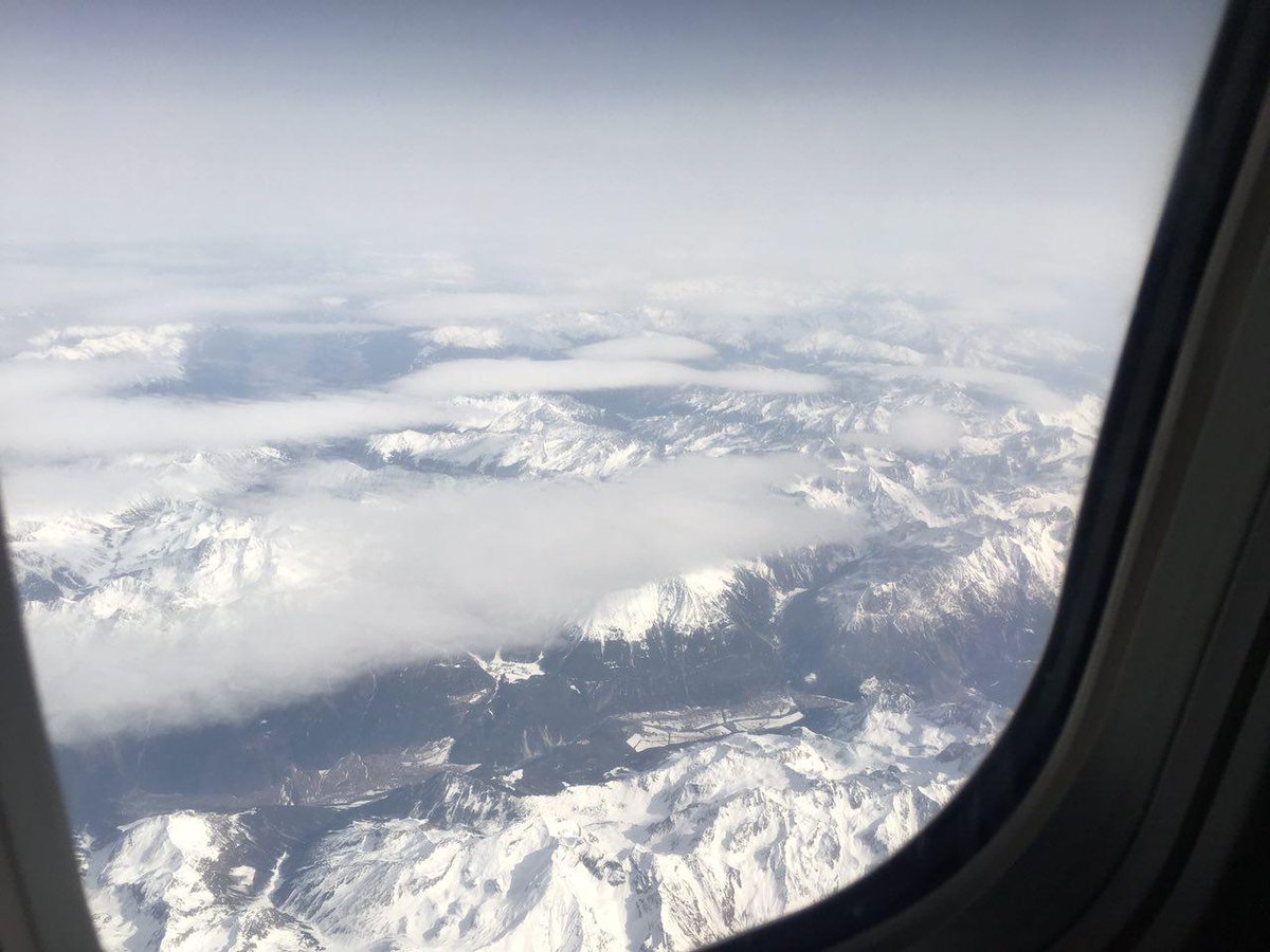 MannheimPhil tweet media