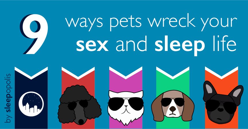 Sleep with pets? They could be messing with your sleep life! sleepopolis.com/blog/9-ways-pe… Discover how your furry friends impact your bedroom.