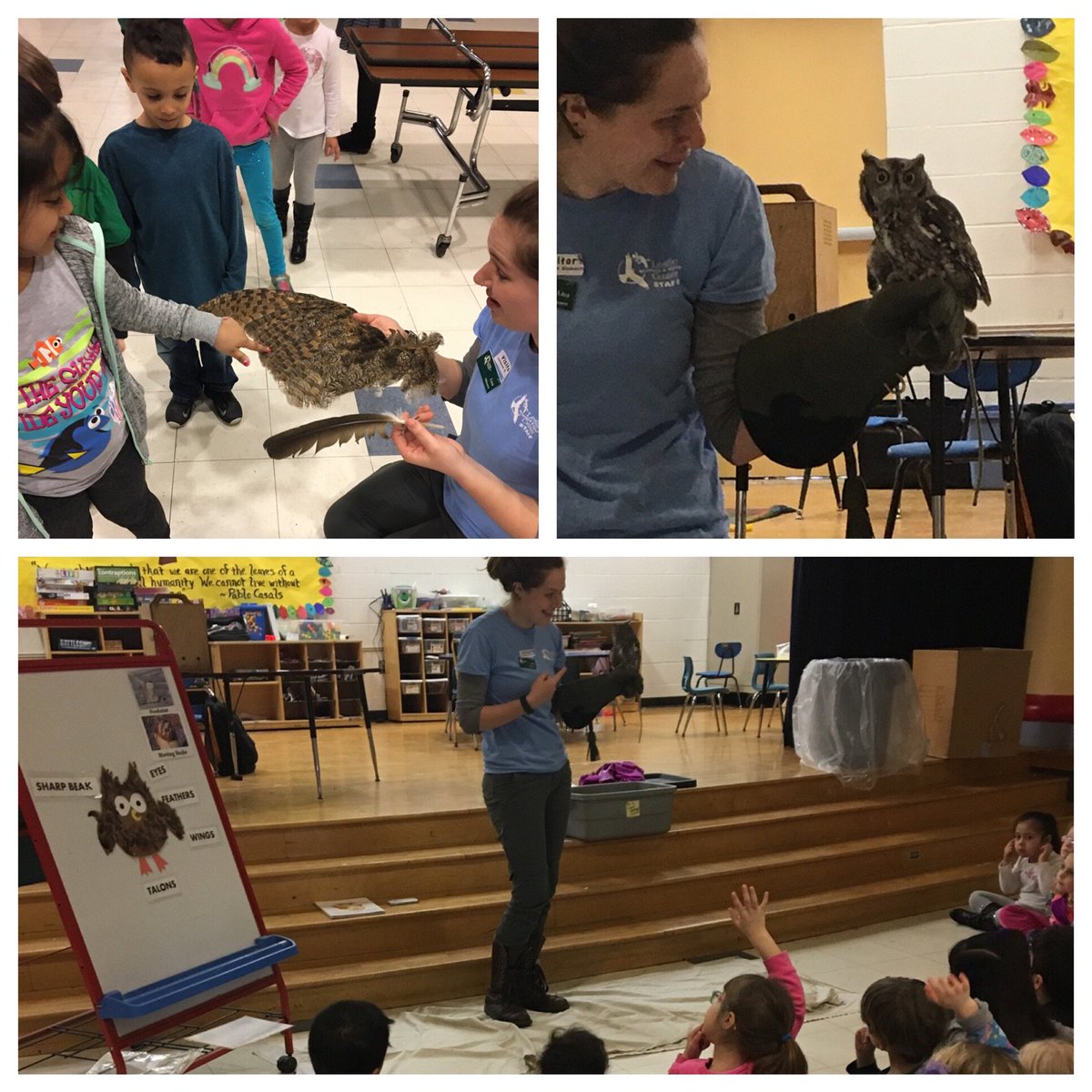 A2earlychild's tweet photo. A featherer friend from @LeslieSNC visited Lakewood kindergartners today. He was soft! #a2gether #a2super #a2schools https://t.co/v5bY0WQrAn
